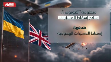 منظومة "أكتوبوس".. سلاح إسقاط المسيرات