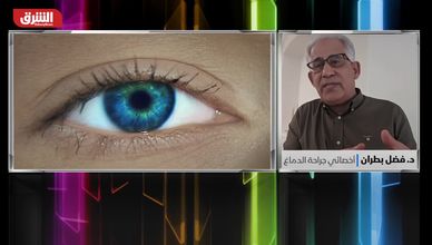 لماذا يكتمل شكل الدماغ مبكرًا بينما يستمر تطور التفكير؟