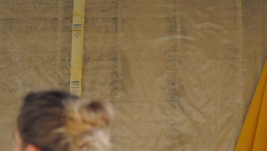 إسطبلات القصر