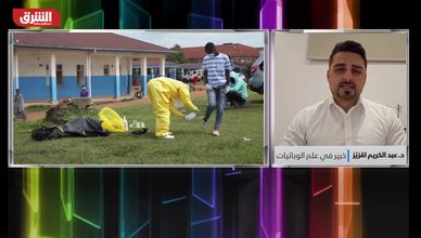 خبير أوبئة: ارتفاع وفيات إيبولا في الكونغو يثير القلق