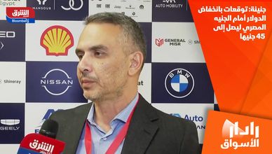 جنينة: توقعات بانخفاض الدولار أمام الجنيه المصري ليصل إلى 45 جنيها