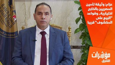 عزام: وثيقة تأمين المصريين بالخارج اختيارية.. وقواعد "البيع على المكشوف" قريبا