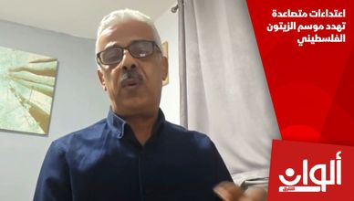 اعتداءات متصاعدة تهدد موسم الزيتون الفلسطيني