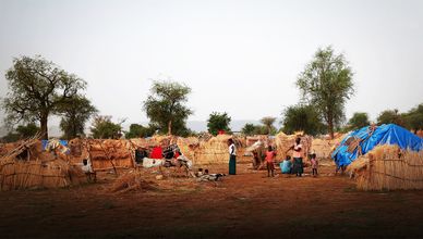 كادوقلي والدلنج.. تنوع ثقافي وطبيعي واقتصادي