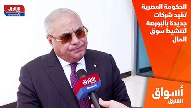 الحكومة المصرية تقيد شركات جديدة بالبورصة لتنشيط سوق المال