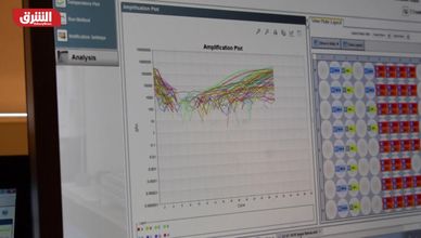 شركات الأدوية وإنقاص الوزن.. من يكسب السباق؟