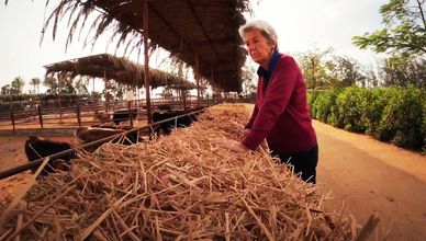 "أنجيلا هوفمان".. ألمانية تقود الزراعة الحيوية في مصر منذ 40 عاما