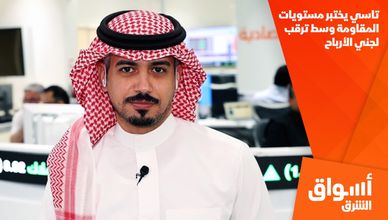 تاسي يختبر مستويات المقاومة وسط ترقب لجني الأرباح