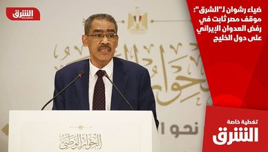 ضياء رشوان لـ"الشرق": موقف مصر ثابت في رفض العدوان الإيراني على دول الخليج