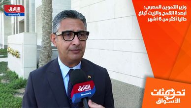 وزير التموين المصري: أرصدة القمح والزيت تبلغ حاليا أكثر من 6 أشهر