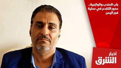 باب المندب والوازعية.. محور التقدم في عملية فجر اليمن