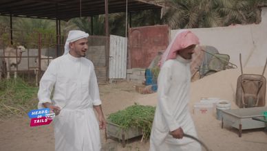 مغامرات الأحساء