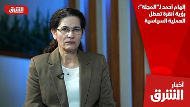 إلهام أحمد لـ"المجلة": رؤية أنقرة تعطل العملية السياسية
