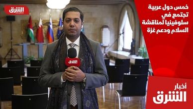 خمس دول عربية تجتمع في سلوفينيا لمناقشة السلام ودعم غزة