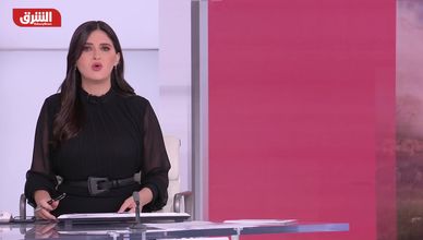 تحذيرات دولية من "احتلال غزة".. وأوكرانيا تفتح باب السلام ولقاء بوتين