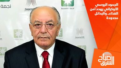 الجمود الروسي الأوكراني يهدد أمن الغذاء.. والبدائل محدودة