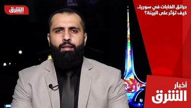 حرائق الغابات في سوريا.. كيف تؤثر على البيئة؟