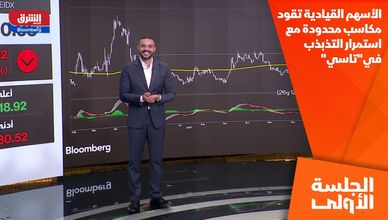 الأسهم القيادية تقود مكاسب محدودة مع استمرار التذبذب في"تاسي"