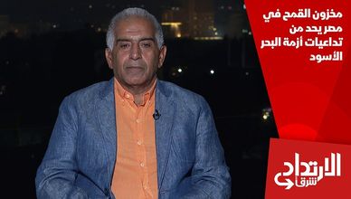 مخزون القمح في مصر يحد من تداعيات أزمة البحر الأسود