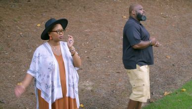 العقار المثالي