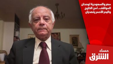 مصر والسعودية توحدان المواقف.. أمن الخليج والبحر الأحمر يتصدران