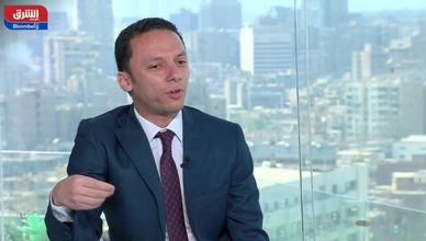 للعام الـ12.. "مصر الخير" تستهدف ذبح 5 آلاف رأس ماشية