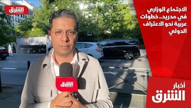 الاجتماع الوزاري في مدريد.. خطوات عربية نحو الاعتراف الدولي