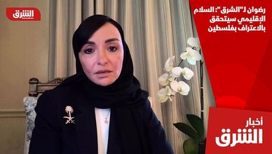 رضوان لـ"الشرق": السلام الإقليمي سيتحقق بالاعتراف بفلسطين