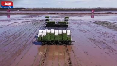 صراع الشرق الأوسط يهدد أمن الغذاء.. هل تشتعل الأسعار مجددا؟