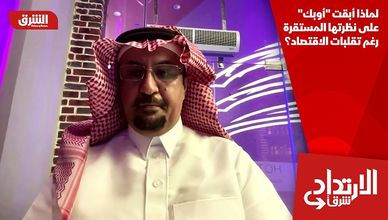 لماذا أبقت "أوبك" على نظرتها المستقرة رغم تقلبات الاقتصاد؟