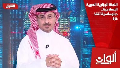 اللجنة الوزارية العربية الإسلامية.. دبلوماسية تنقذ غزة