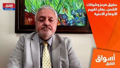 مضيق هرمز وشركات الشحن.. رهان تقييم الأوضاع الأمنية