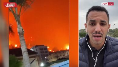 الجزائر.. الدفاع المدني يواصل مكافحة حرائق تيبازة وسط رياح قوية