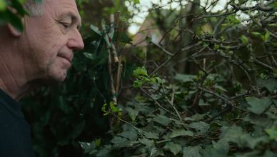 الدجاجة "سامي"