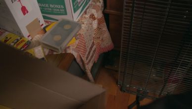 البحث الميداني