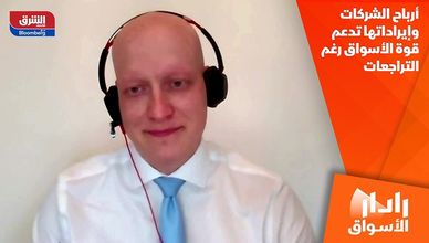 أرباح الشركات وإيراداتها تدعم قوة الأسواق رغم التراجعات