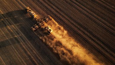 توترات مضيق هرمز.. أمن الغذاء العالمي