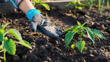 قطاع الزراعة في المغرب.. ضغوط متزايدة وفاتورة طاقة مرتفعة