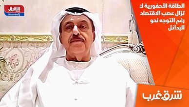 الطاقة الأحفورية لا تزال عصب الاقتصاد رغم التوجه نحو البدائل