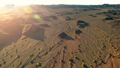 خلف المباريات