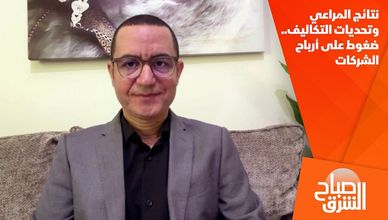 نتائج المراعي وتحديات التكاليف.. ضغوط على أرباح الشركات