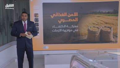 خطة بـ173 مليار جنيه.. كيف تؤمن مصر غذاءها ومياهها؟