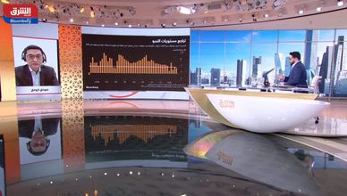 ريدموند ونغ: تخصيص رأس المال بكفاءة واحد من العناصر الهامة لزيادة الإنتاجية في الصين
