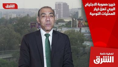 خبير: صعوبة الاجتياح البري تعزز خيار العمليات النوعية