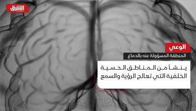 الوعي.. المنطقة المسؤولة عنه بالدماغ