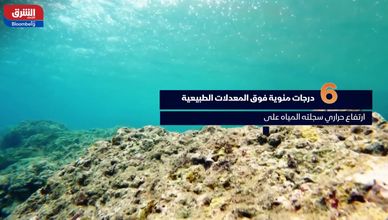 ظاهرة "إل نينيو" تعود للواجهة.. وتحذيرات من تطورات مناخية