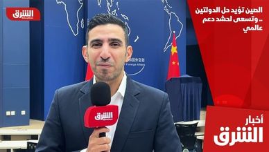 الصين تؤيد حل الدولتين.. وتسعى لحشد دعم عالمي
