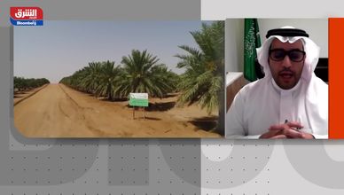 محمد النويران - الرئيس التنفيذي للمركز الوطني للنخيل والتمور