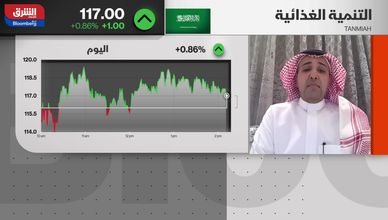 دعم الحكومة السعودية وتأثيره على توسع شركة التنمية الغذائية