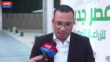 "باسف": حجم أعمالنا يتخطى 70 مليار دولار.. ومصر تمثل 10% من حصتنا السوقية